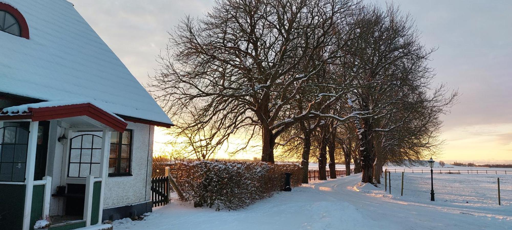 Lantligt Och Lugnt Boende Naera Natur Och Stad Svedala Exterior foto