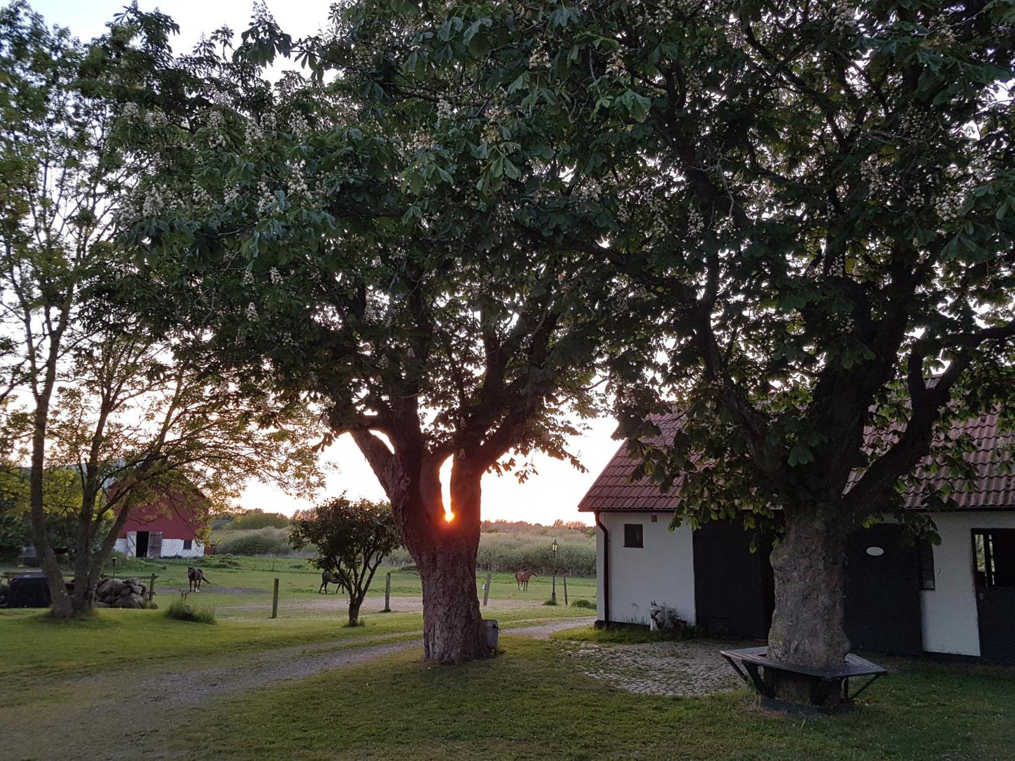 Lantligt Och Lugnt Boende Naera Natur Och Stad Svedala Exterior foto