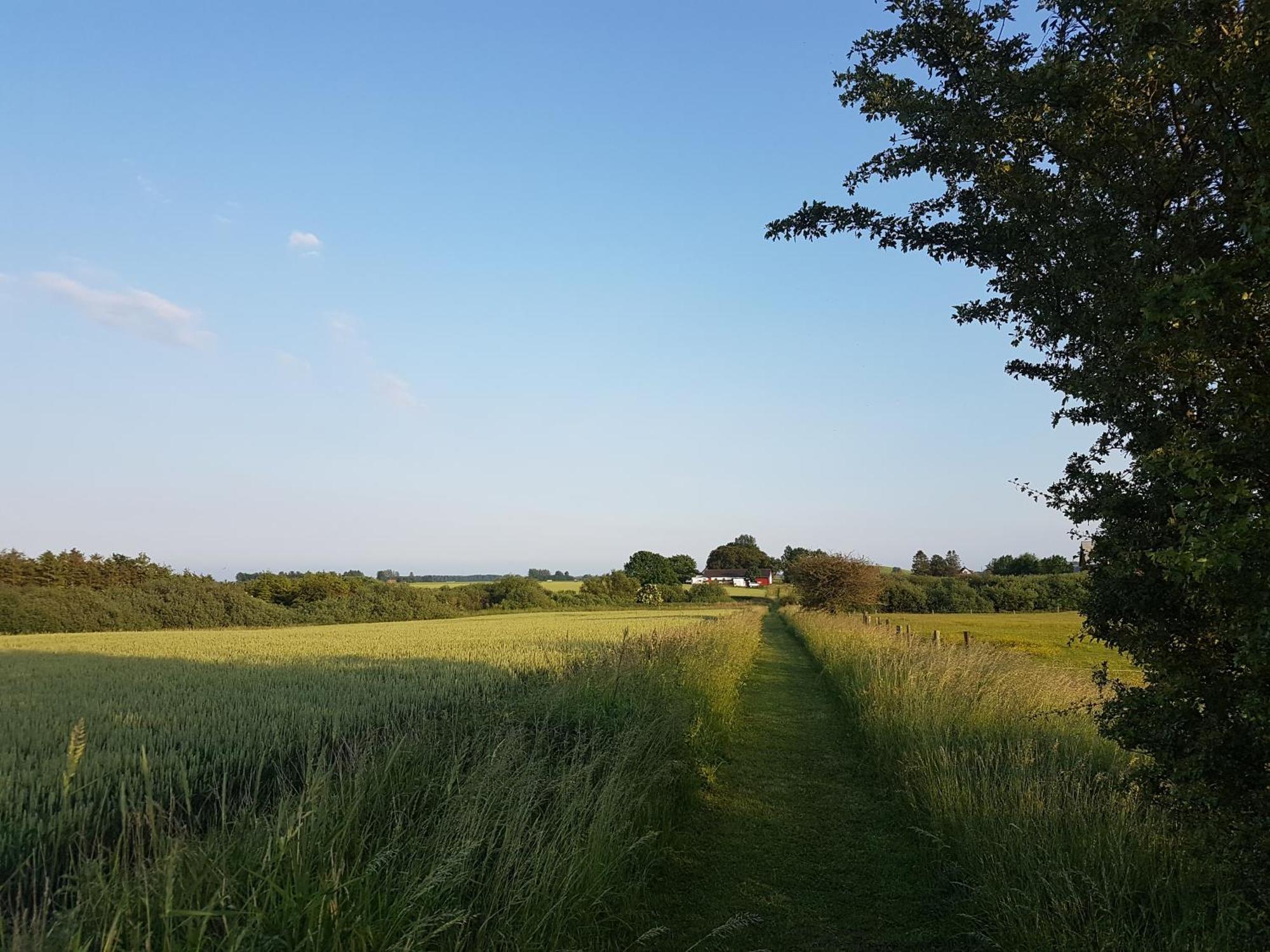 Lantligt Och Lugnt Boende Naera Natur Och Stad Svedala Exterior foto